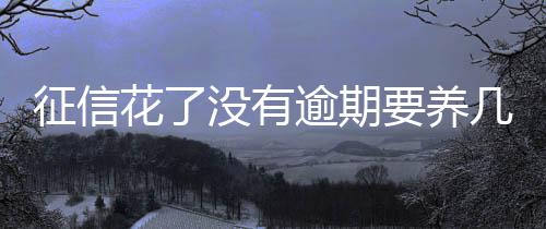 征信花了没有逾期要养几个月 征信不好没激活的信用卡可以激活吗